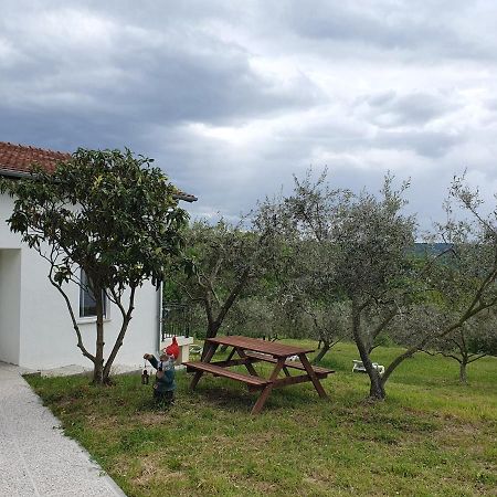 Apartma Zdenko Izola Exterior foto